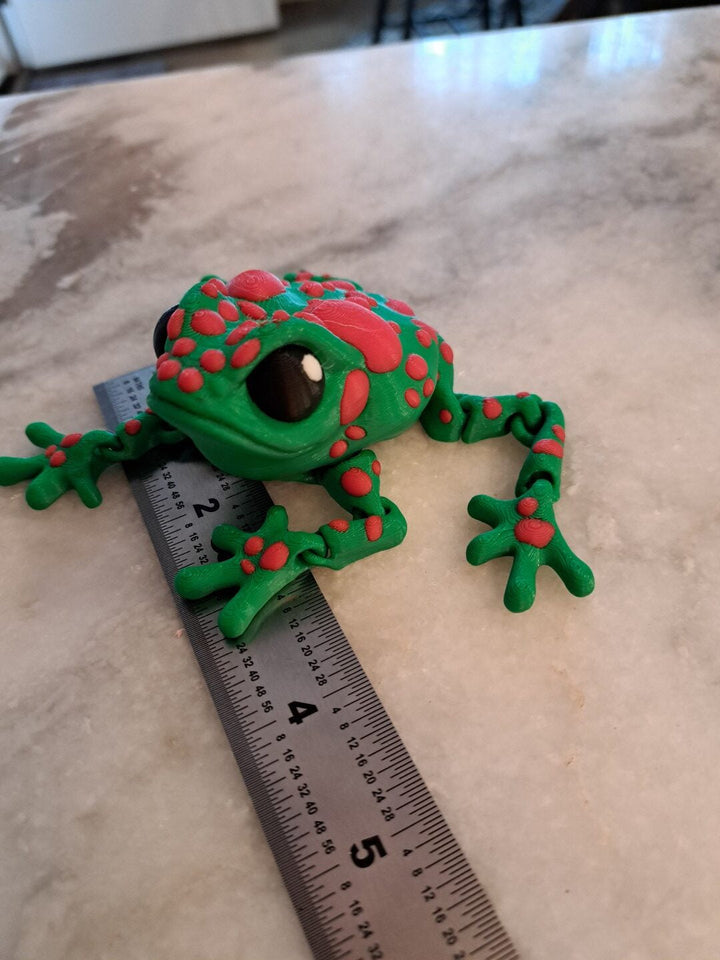 Spotted Frog